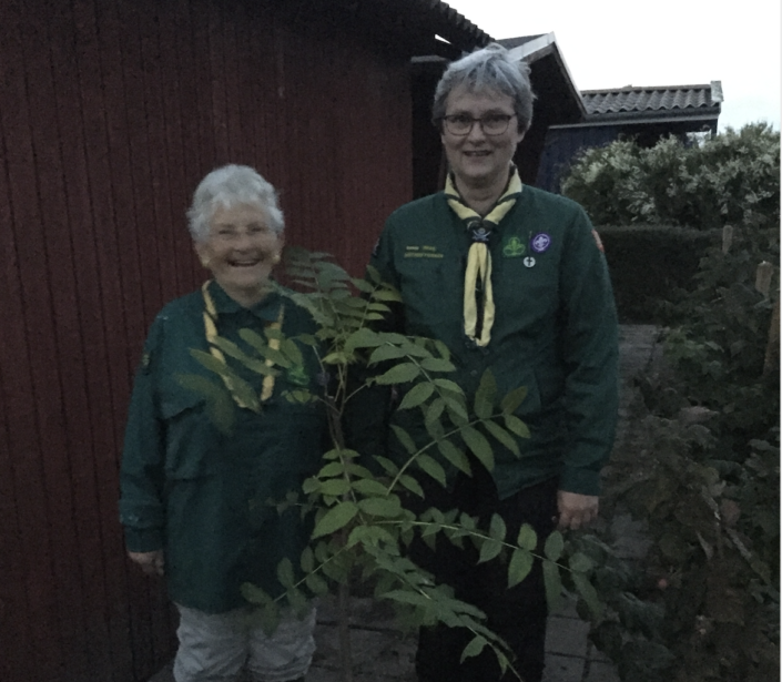 Skærmbillede 2020-10-07 kl. 13.23.32