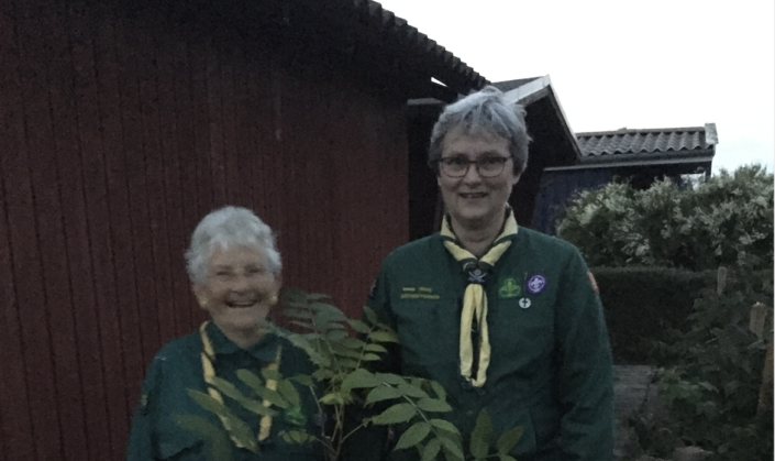 Skærmbillede 2020-10-07 kl. 13.41.58