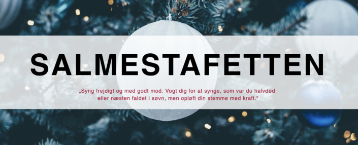 Skærmbillede 2020-12-13 kl. 21.04.17