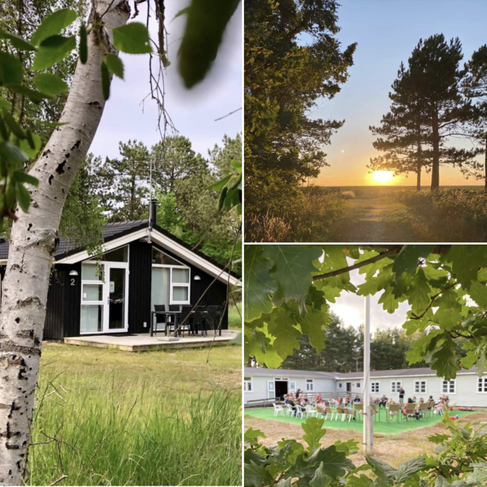 Skærmbillede 2021-04-13 kl. 11.55.17