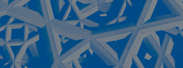 organisation-og-ledelse