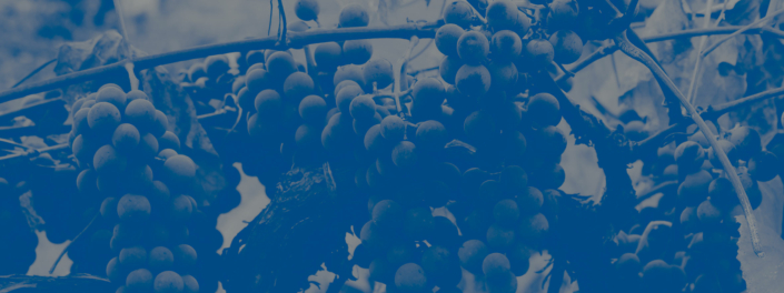 pagten-og-de-to-sakramenter