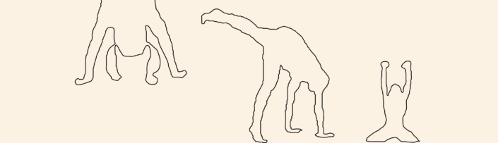 Landsmøde grafikken