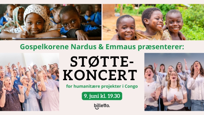 Støttekoncert -sommer 2025
